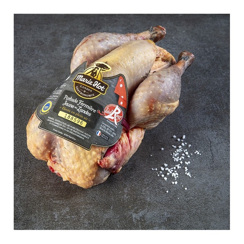 PINTADE FERMIÈRE